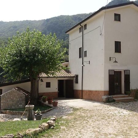 Отель Azienda Agrituristica Terraria Кампанья Экстерьер фото